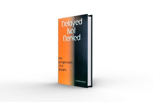 Delayed Not Denied Book